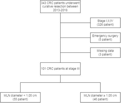 Clinical significance of the histopathological metastatic largest lymph node size in colorectal cancer patients